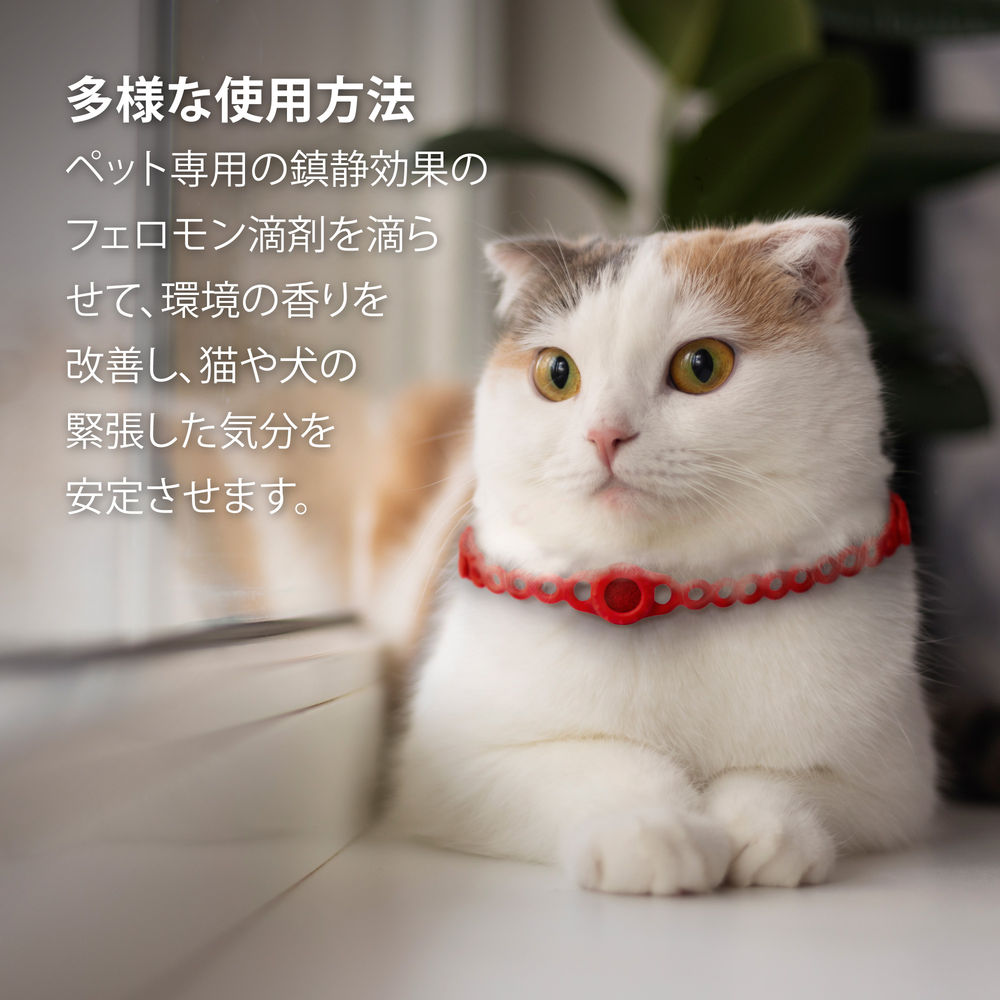 Fragrance Chain