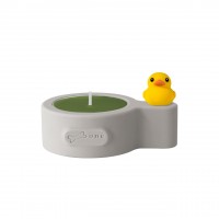Patti Duck