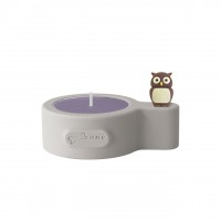 Owl Wes