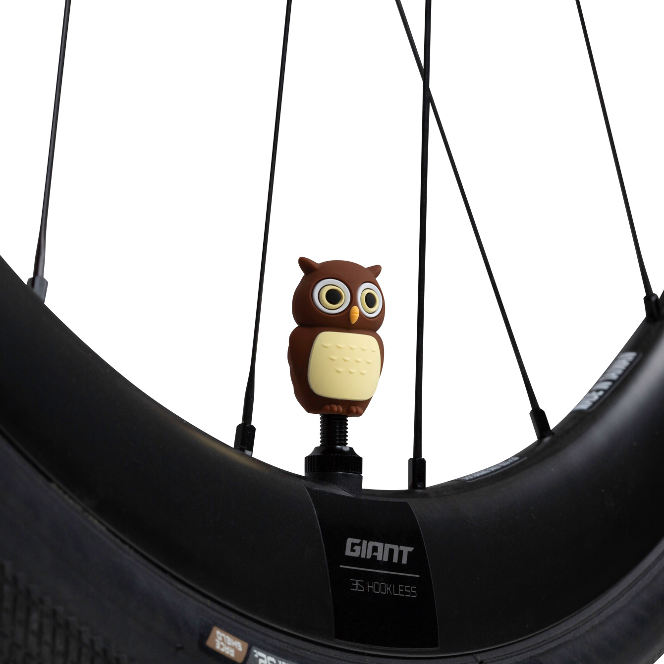 Owl Wes