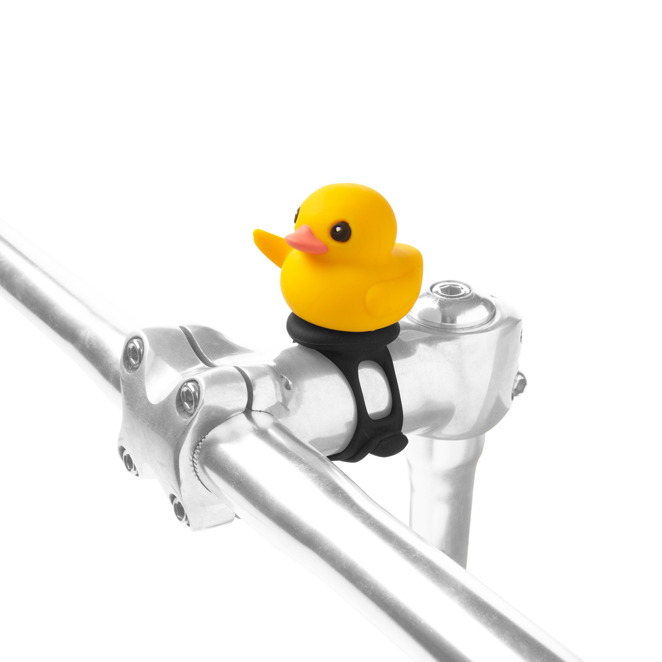 Patti Duck