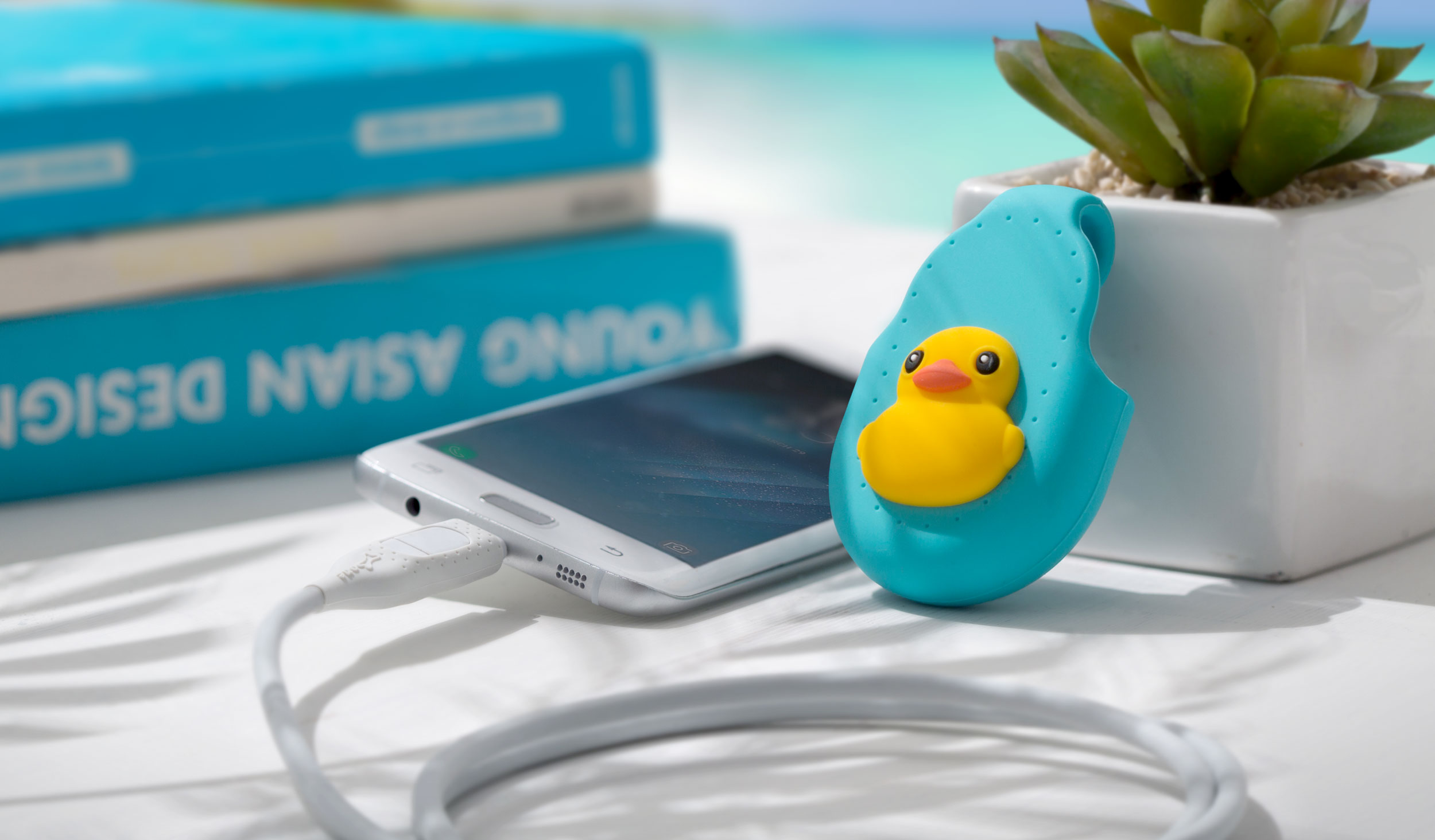 iDualink - USB-C
