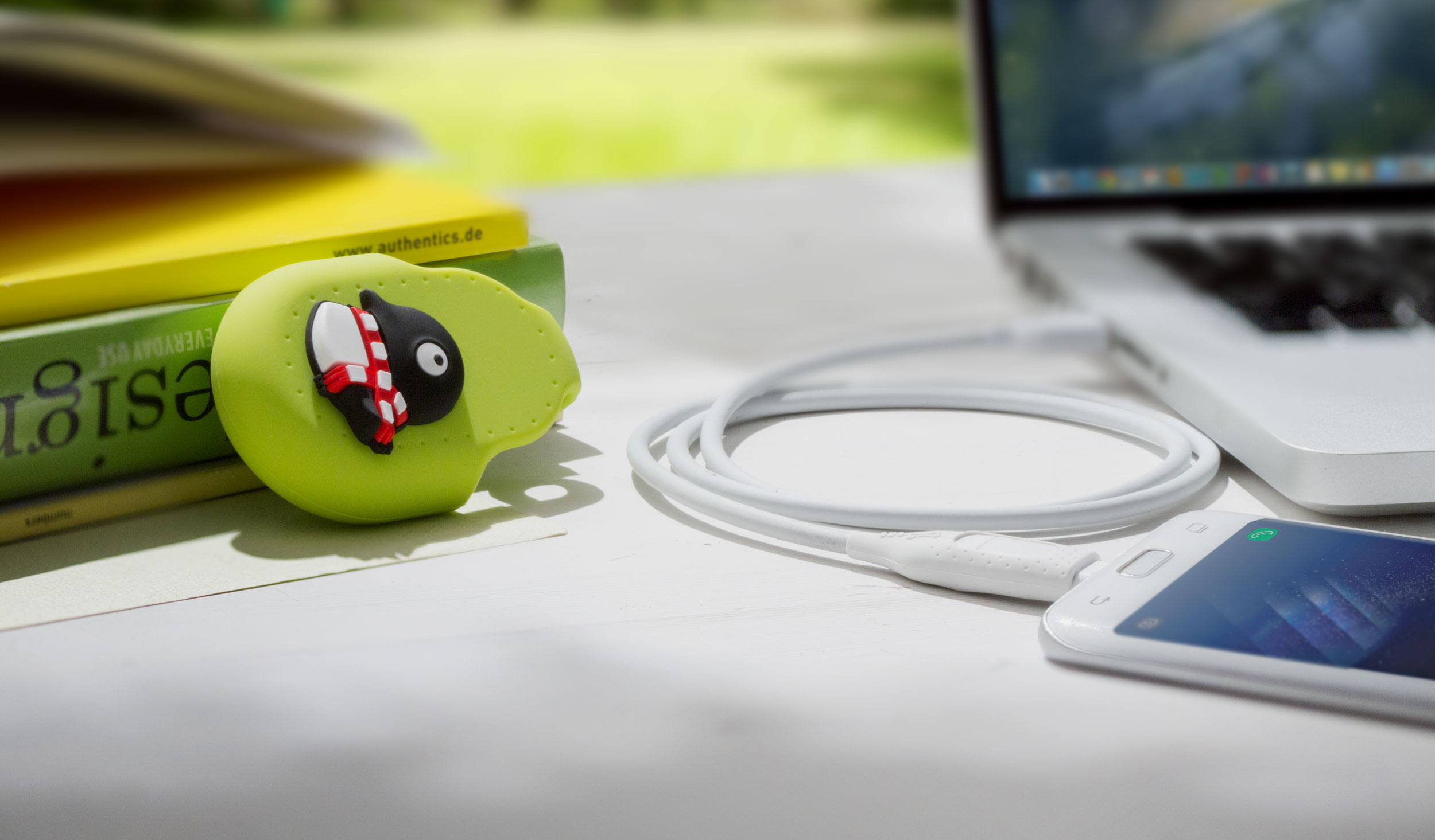 iDualink - USB-C