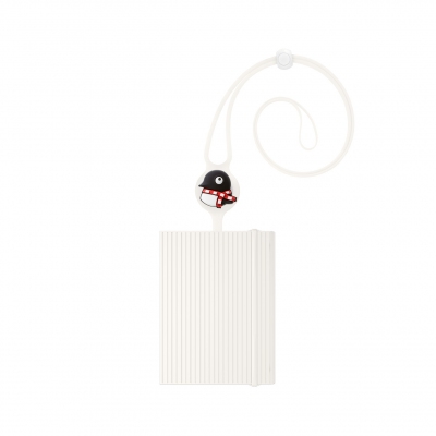 Lanyard Passport-Lite